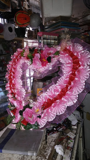 Tienda de Silve