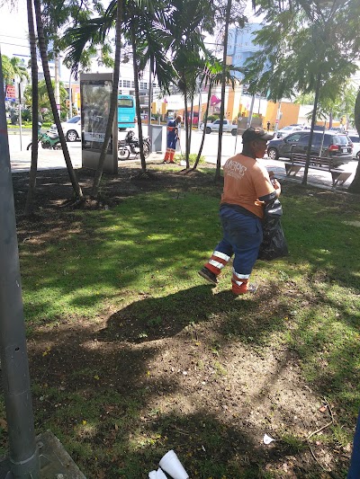 Photos of Parque La Lira
