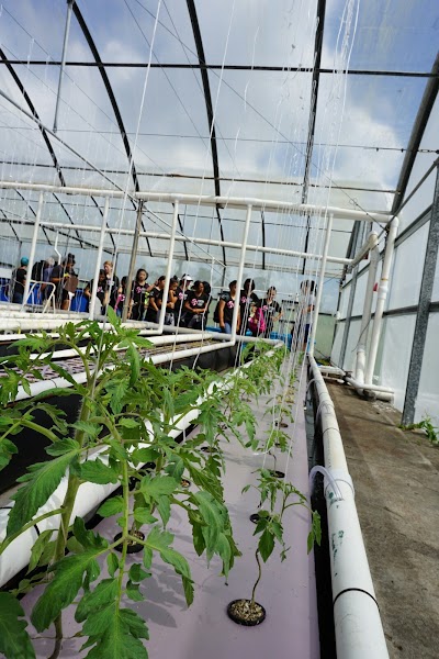 University of Hawaii at Hilo, experimental ag farm