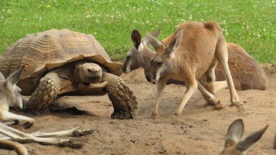 Photos of Wildwood Wildlife Park And Nature Center