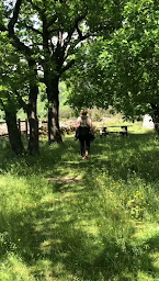 Photo n°27 de l'innattendue à Lunas (Maison d'hôtes)