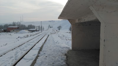 Kars Akyaka Treni Camuşlu Köyü Durağı