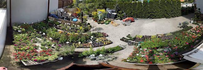Opinie o Sklep ogrodniczy Rolnicki ogrodnik projektowanie ogrodów w Kalisz - Ogrodnik