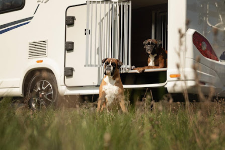 Lucky Dog Camper Industriepark 5, 74706 Osterburken, Deutschland