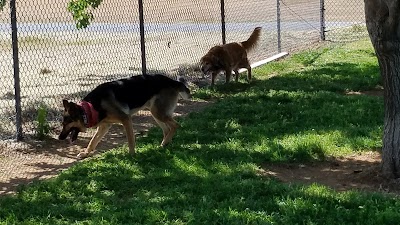 Benton Dog Park - Redding