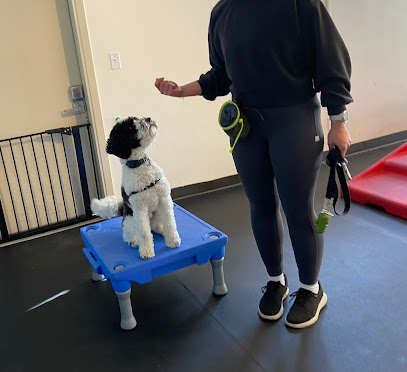 West Seattle Wonder Dogs