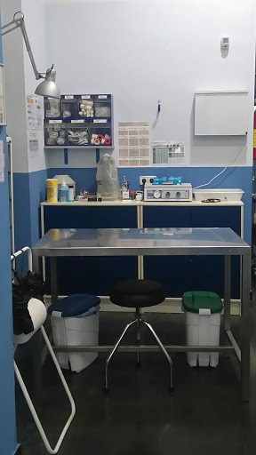 Centro Veterinario Animalis Gallery - Spain