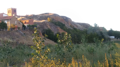 Olmo Jardineros - Visual