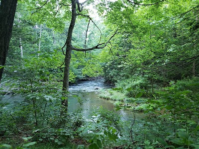 Elkhorn Lake