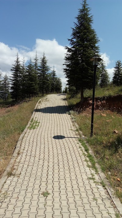 Gaziosmanpaşa Üniversitesi Merkezi Kütüphane