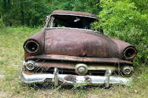 Roadside Rusted Ford Trucks, Crawfordville, United States