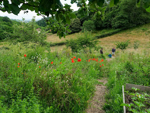 Photo n°5 de L'îlot des Combes à Le Creusot (Jardin)