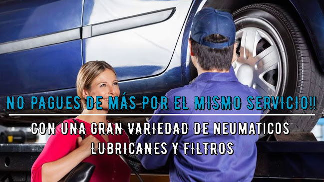 Neumáticos Freire