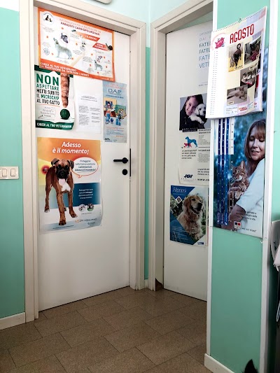 Ambulatorio Veterinario Associato Savelli-Giacobbi-Marzoli