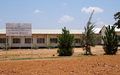 photo of Immaculate Visitation Teachers Collage