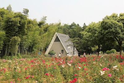 Photos of Yixing Longbeishan Forest Park （Northeast Gate）