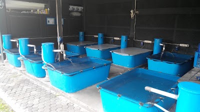 Photos of KoiSakana Farm