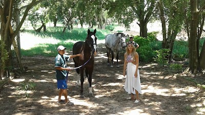 Photos of Equestrian Center Amandari