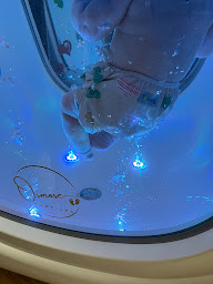 Photo n°15 de Zenélla Vie - Osmose Baby SPA à Marolles-en-Brie (Centre de formation)