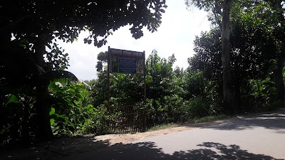 Photos of Lima Nursery (লিমা নার্সারি)
