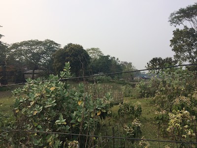 cemetery