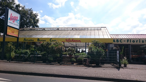 Aktuelles Blumen und Pflanzen Center Neuhann, Florist - Thumbnail