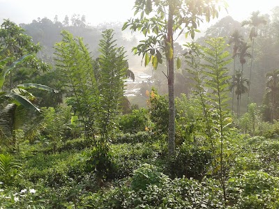 Photos of Kiriwaldola
