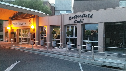 Coffeefield Cafe - Visual