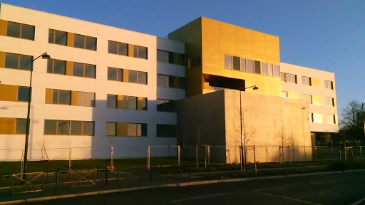 Suptice Service universitaire de pédagogie et des Tice Logo