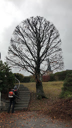 Photo n°3 de WYSS PAYSAGE à Storckensohn (Paysagiste)