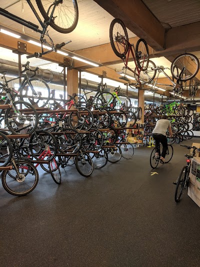 River City Bicycles - Belmont