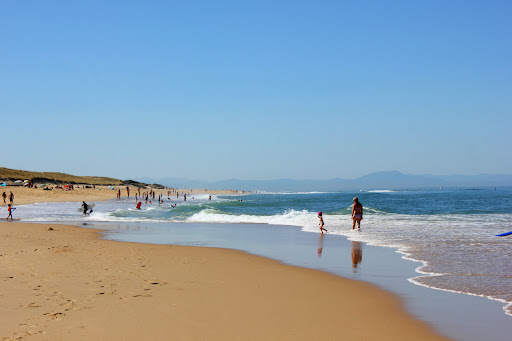 Photo de Office de Tourisme de Seignosse à Seignosse (40510)