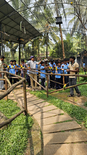 ERA PEXOTIC Pets park