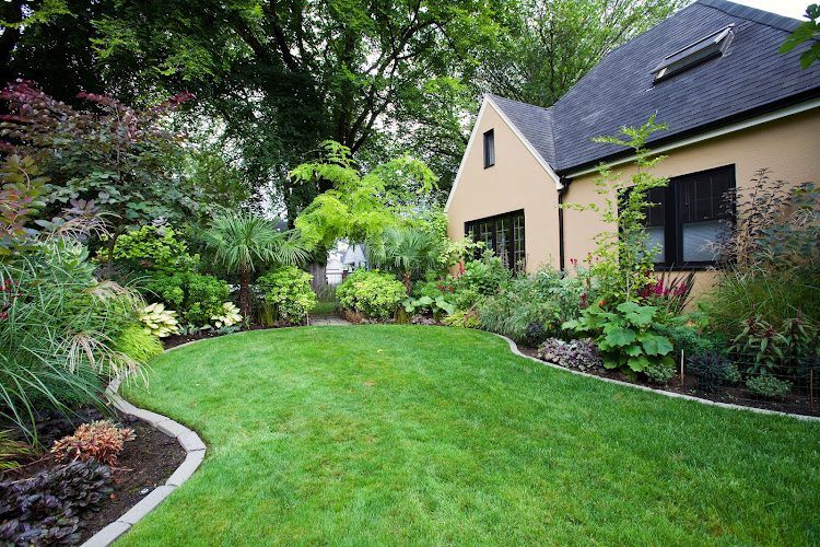 Frisco's Landscaping