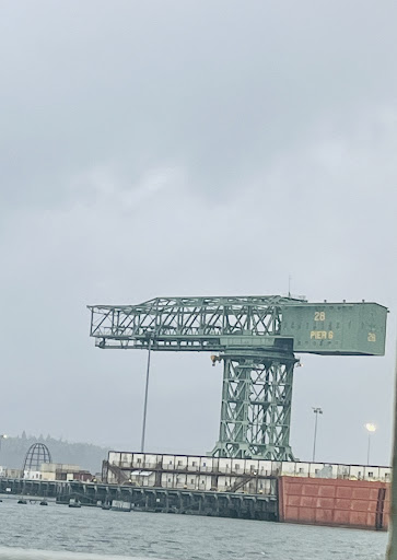 Hammerhead Crane - Visual