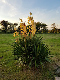 Photo n°11 de La Ferme De Néhou à Gatteville-le-Phare (Chambre d'hôtes)