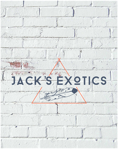 Jacks Exotics - Visual