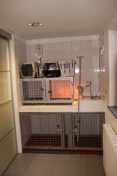 Photos of V&eacute;t&eacute;rinaire Leclercq L&eacute;opold