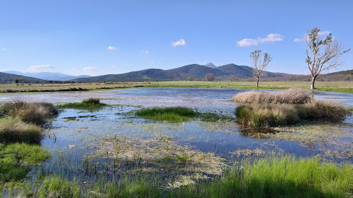 Laguna de Tamajón