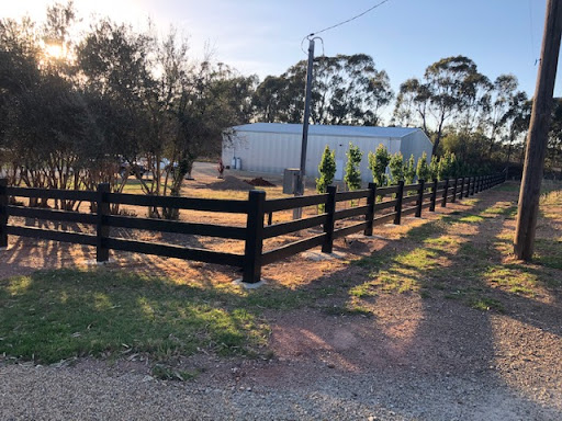Temora Buses