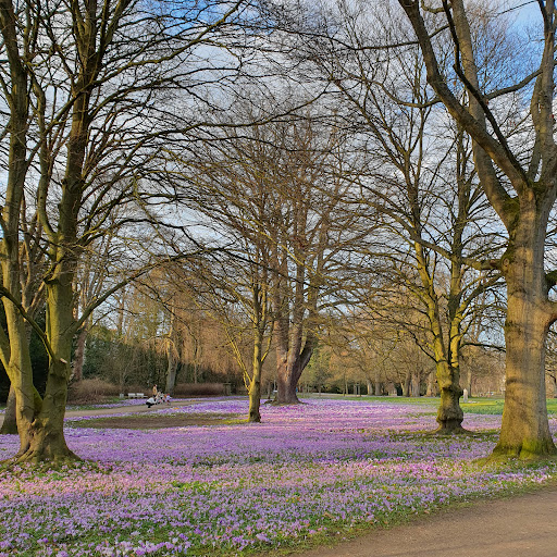 City Park Lübeck - Thumbnail