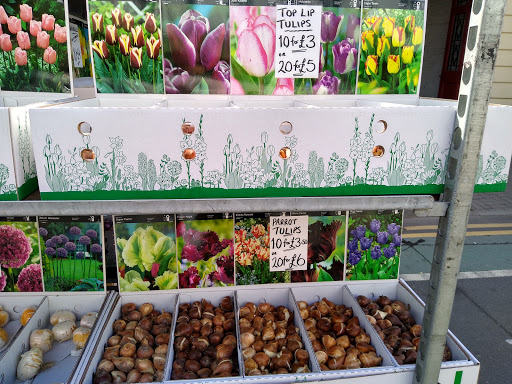 Driffield Market - Thumbnail