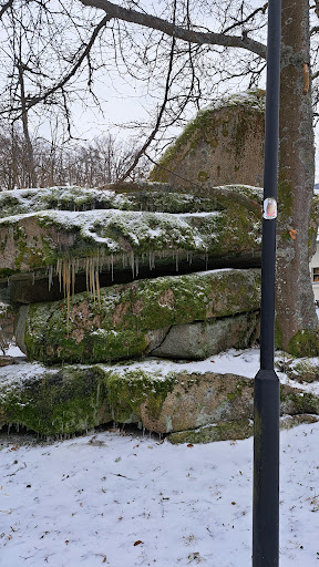 Waldsteinwichtel - Visual