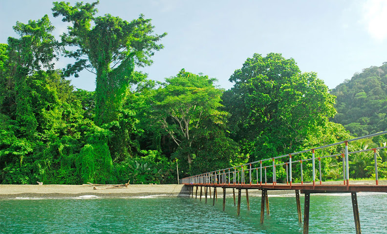 Playa Nicuesa Rainforest Lodge by null