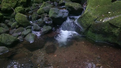 Photos of Canopy Adventure Volcan Barva