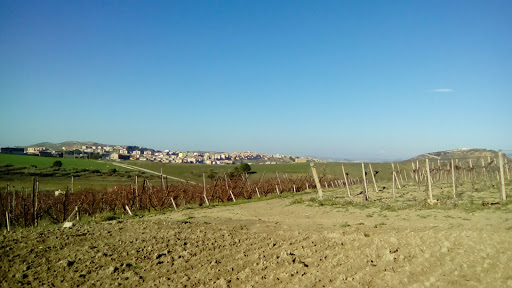 Ri.sa. snc - Visual