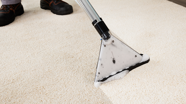 Harry's Carpet Cleaning