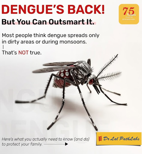 > 🦟 Stay Safe!