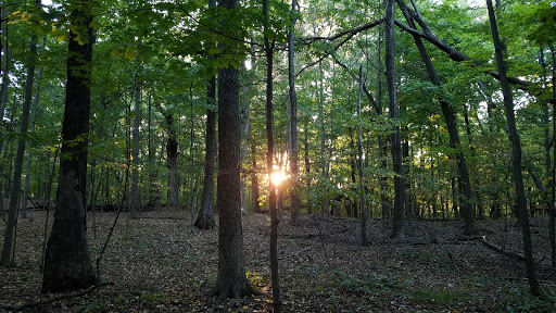 Appalachian Trail at Hammersley Ridge
