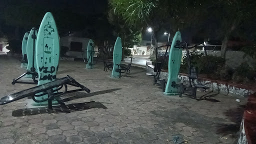 Unidad Deportiva "Carlota Ortiz"